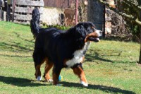 /album/fotogalerie/annie-beh-jpg/